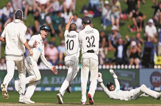 New Zealand players can be seen after dismissing England`s last batsman